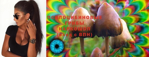гидра Абаза