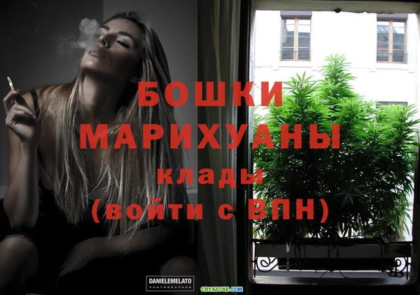 гидра Абаза