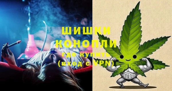 гидра Абаза