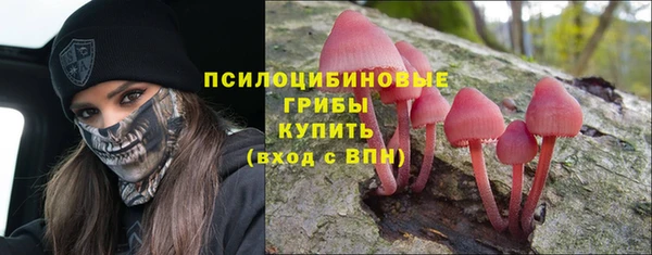 гидра Абаза