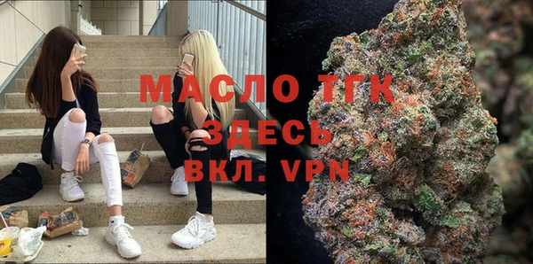гидра Абаза