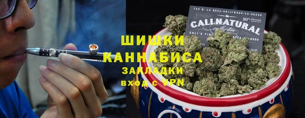 гидра Абаза